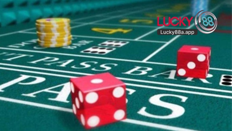 Sảnh Live DG Gaming Tại Lucky88